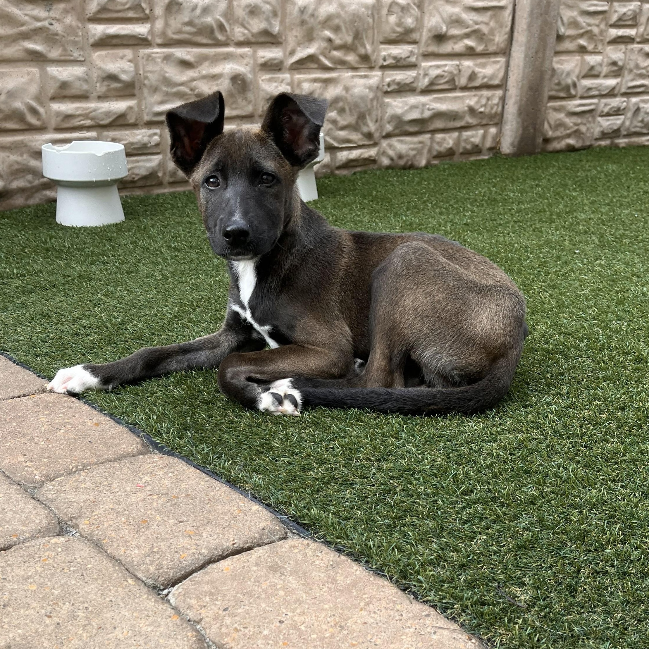 Maracas — thumbnail 5