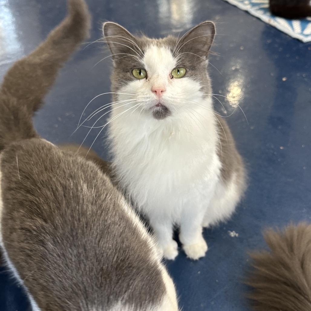 Lucy Lou thumbnail 2