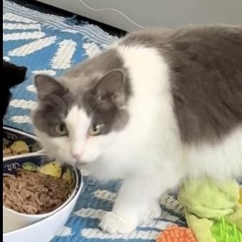 Lucy Lou thumbnail 3