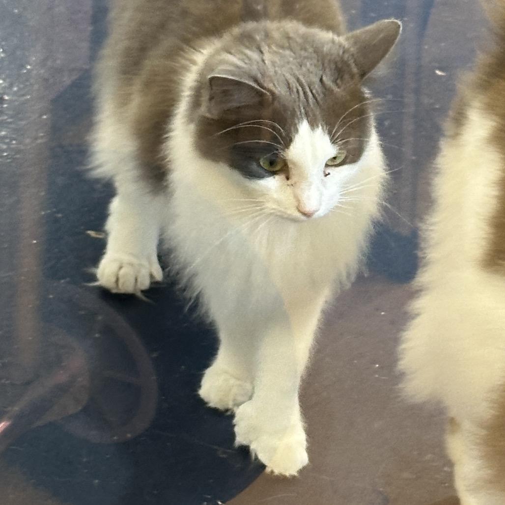 Lucy Lou thumbnail 6