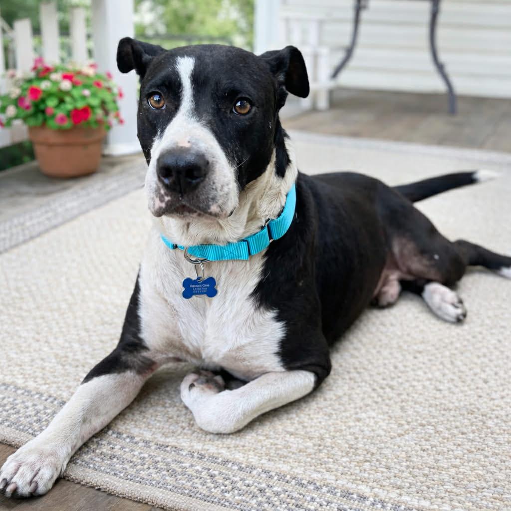 Fletcher — thumbnail 3