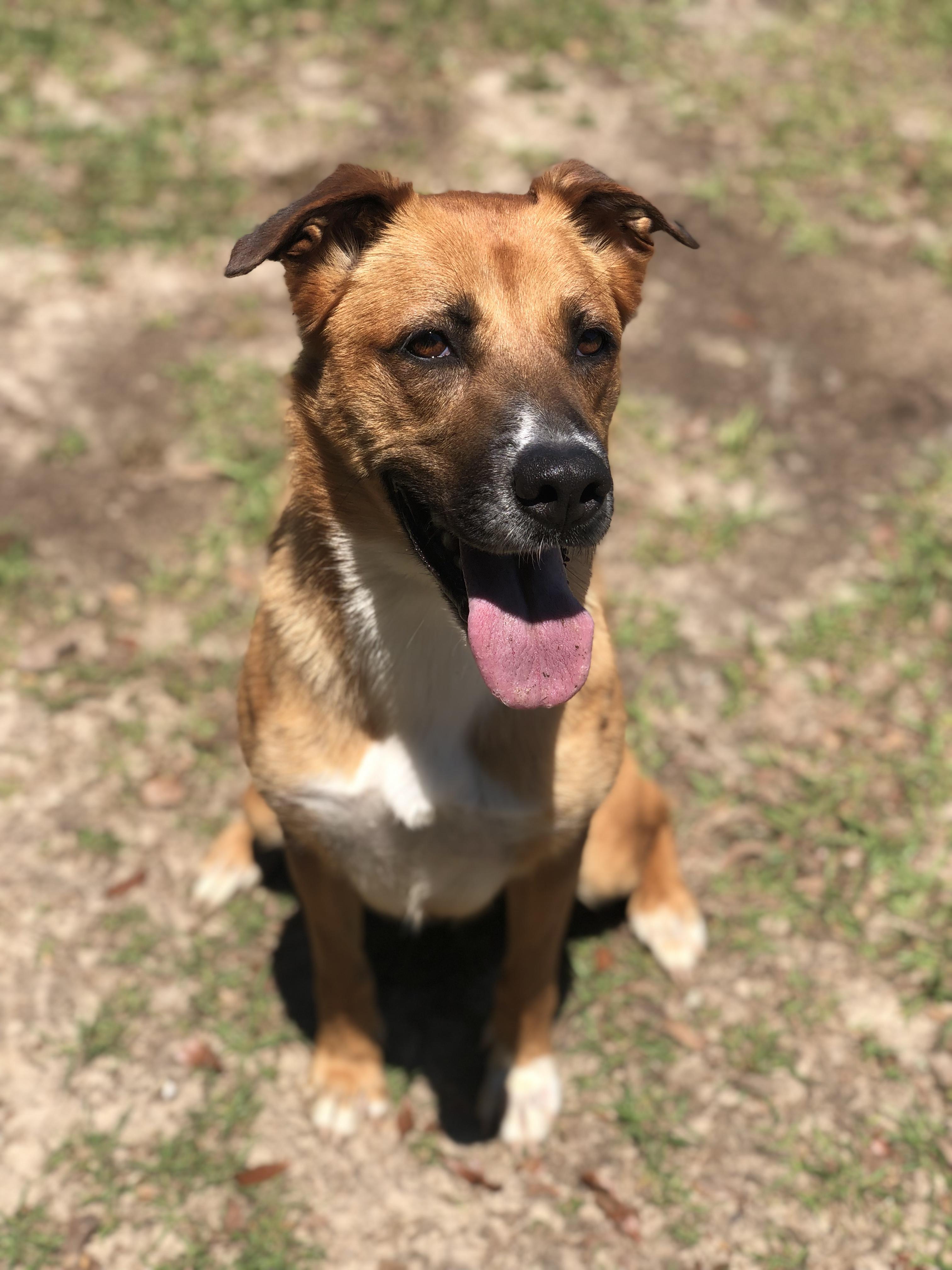 Nyla photo 5
