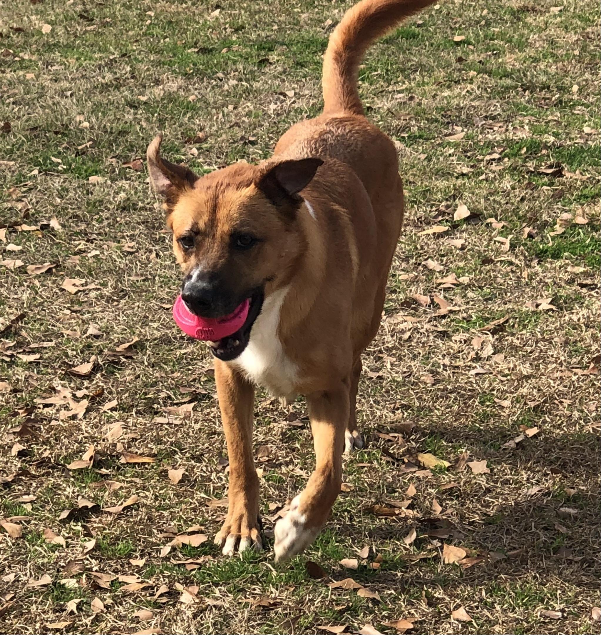 Nyla photo 6