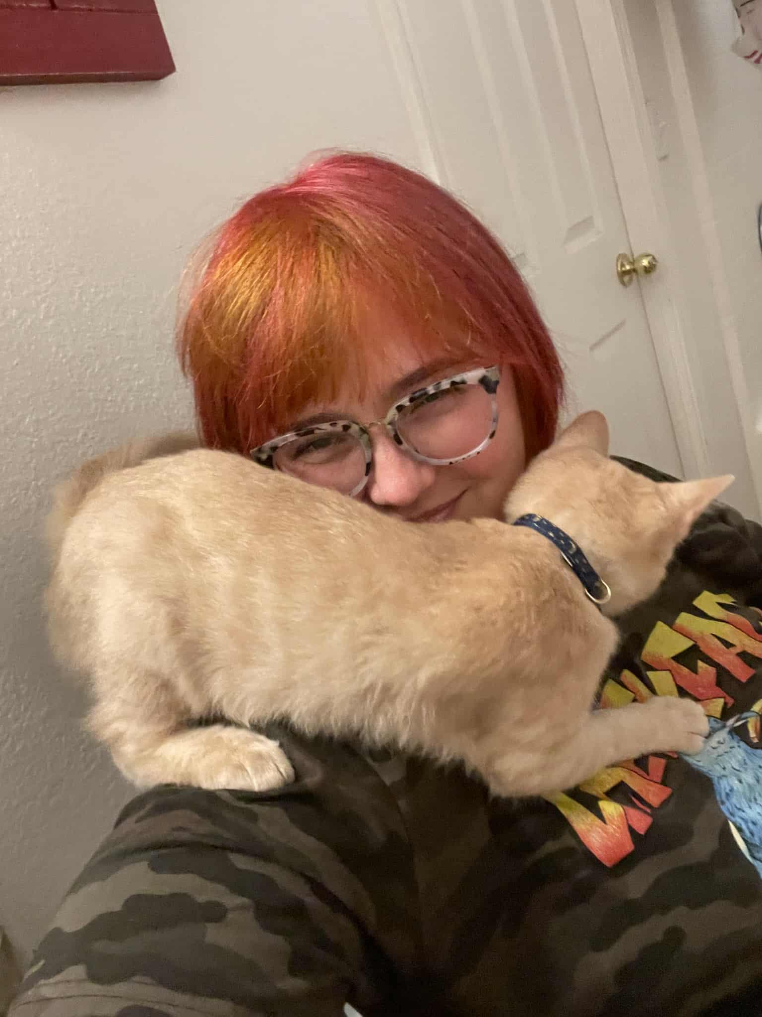 Enlarge Encyclopedia & Harley, a Adoptable Domestic Short Hair in San Diego, CA image 4/4