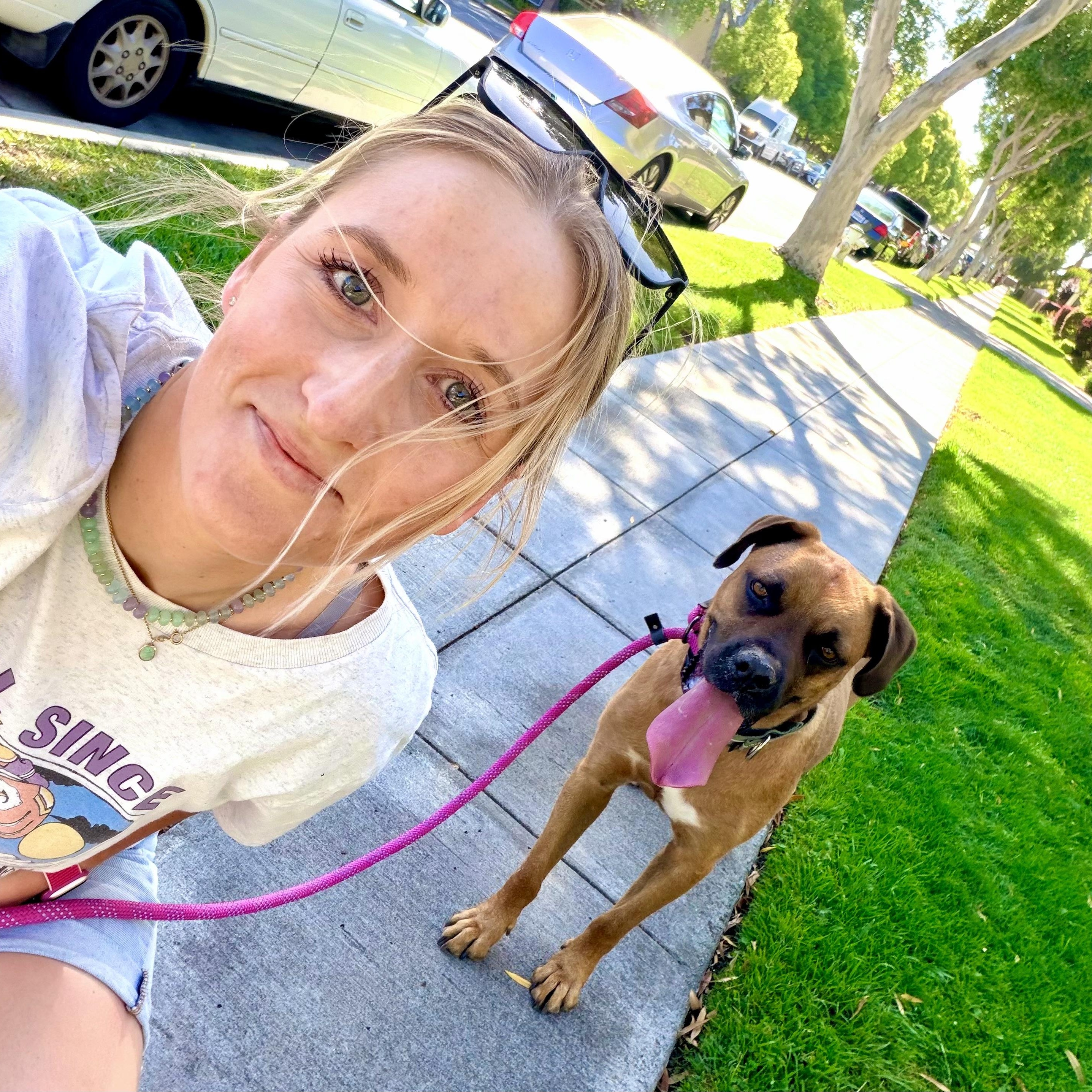 Missy, a Adoptable mixed breed in Santa Monica, CA image 2/6