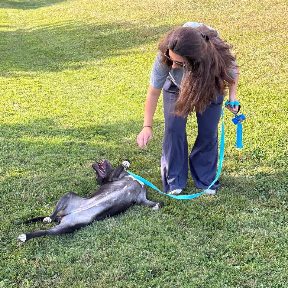 Rose: Foster-to-adopt available