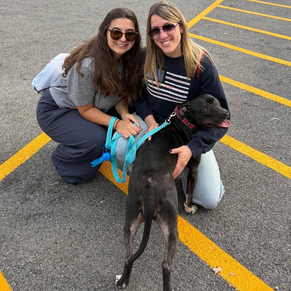 Rose: Foster-to-adopt available