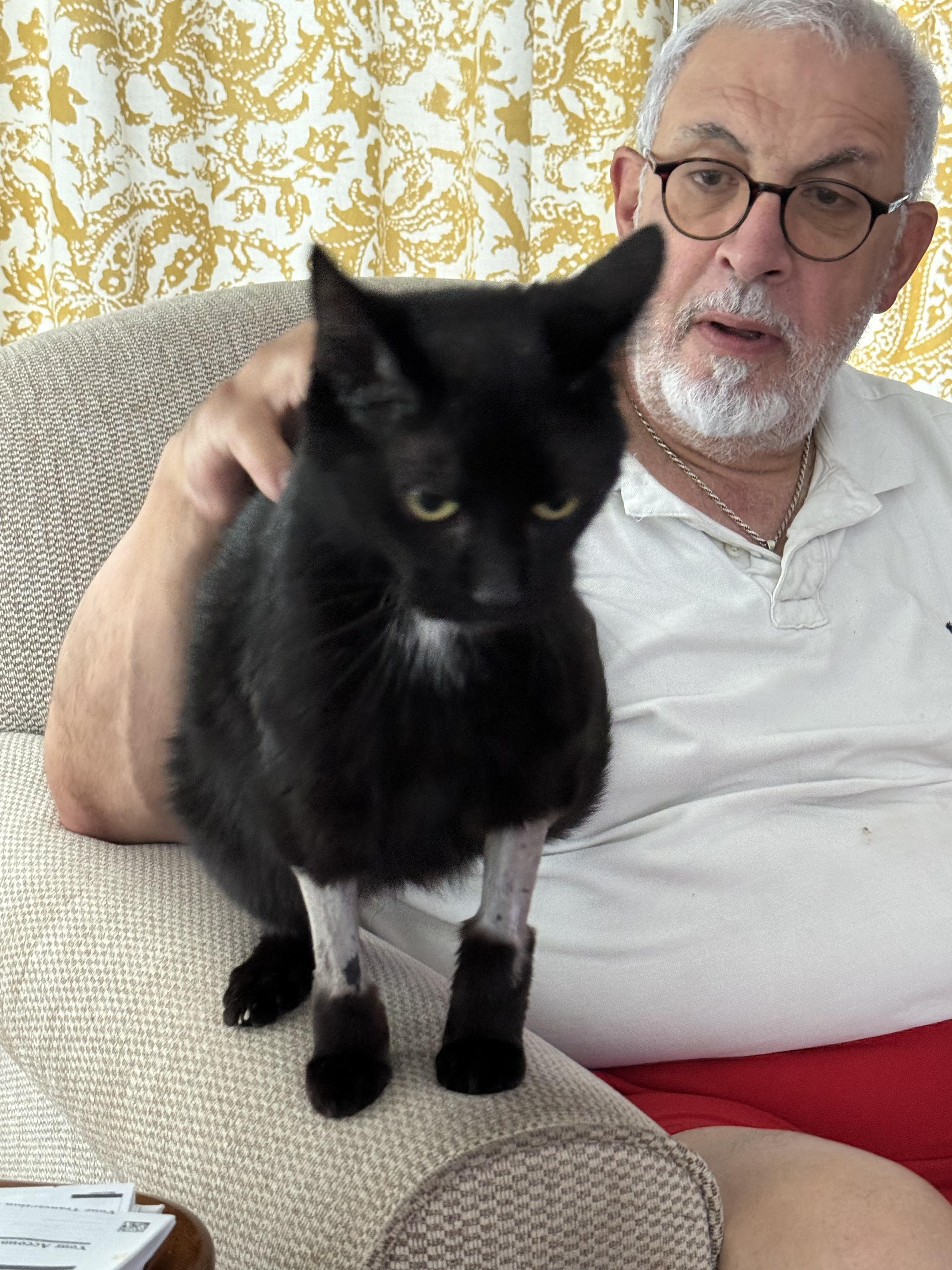 Enlarge Betsy, a ADOPTABLE mixed breed in Southington, CT image 5/6