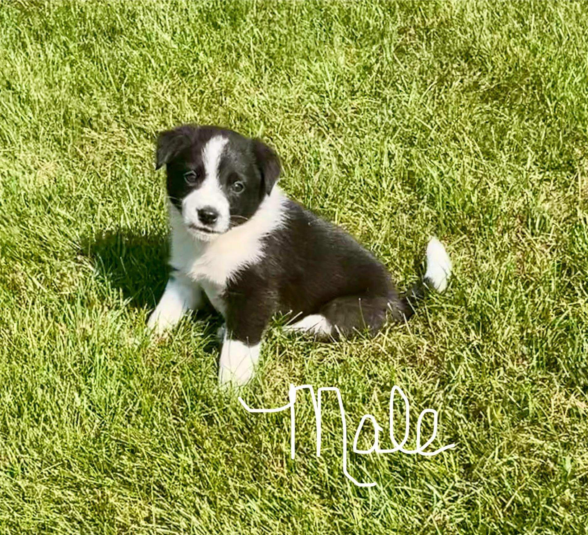 Elsa and her siblings photo 3