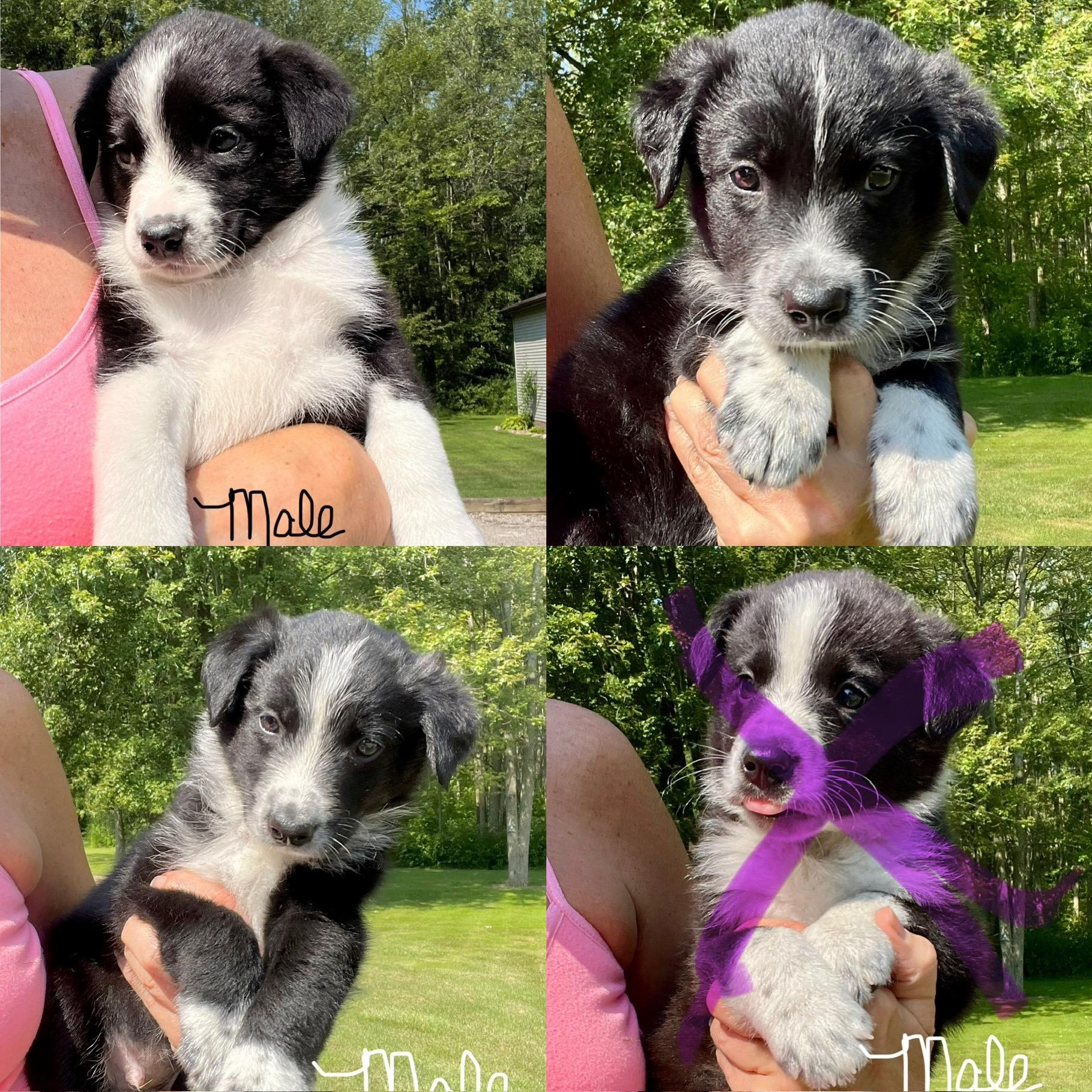 Elsa and her siblings