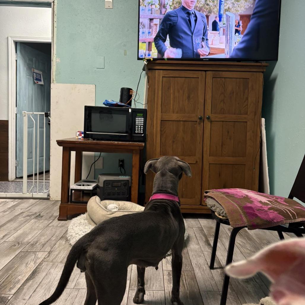 Sara — thumbnail 3