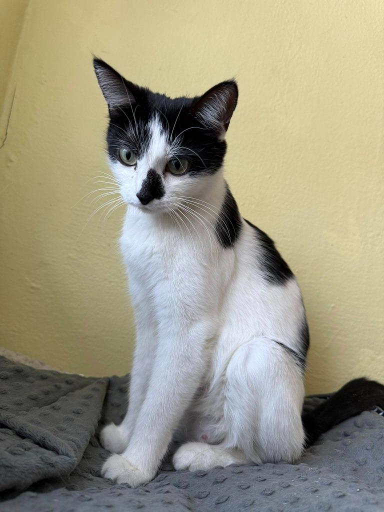 Paige — thumbnail 5