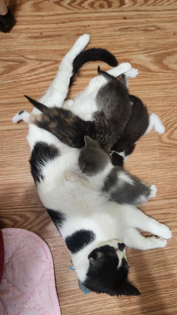 Paige — thumbnail 6