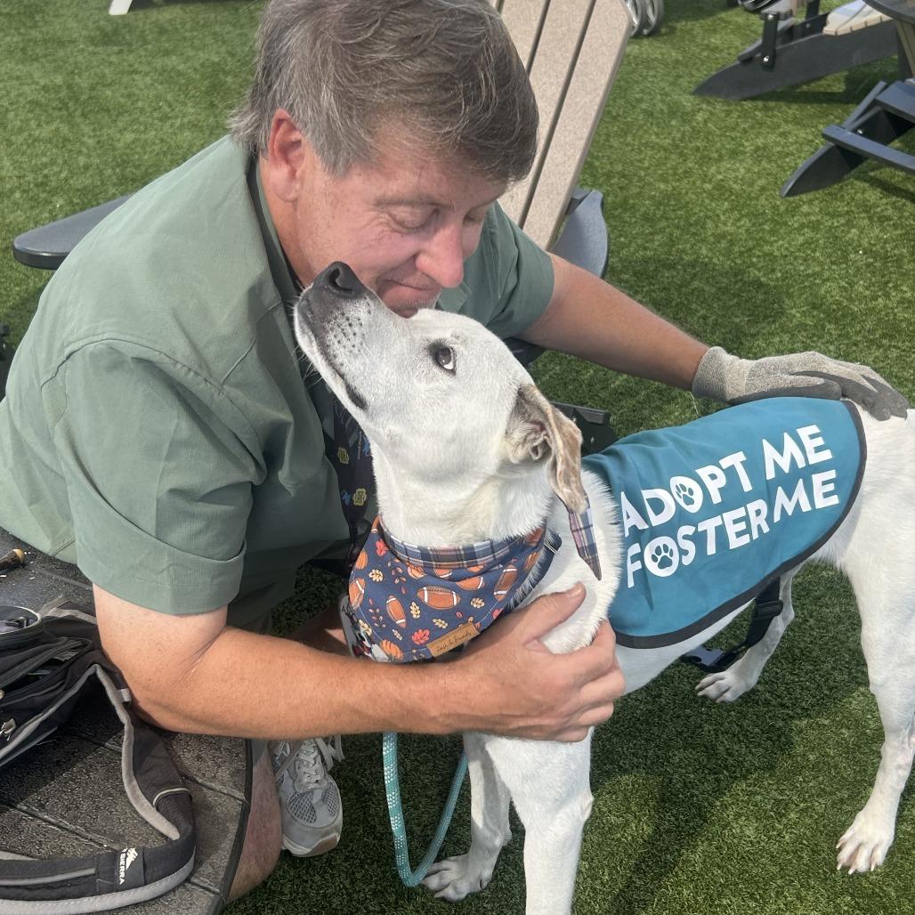 Dasher (AKA Prince Charming) — thumbnail 5