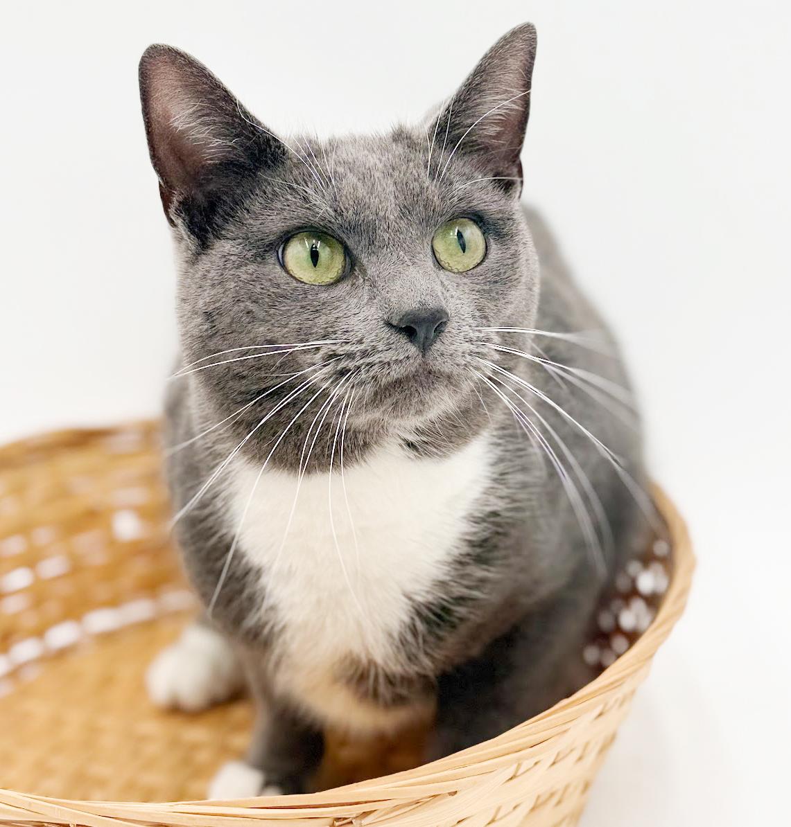 Ashe Our Love!  thumbnail 2