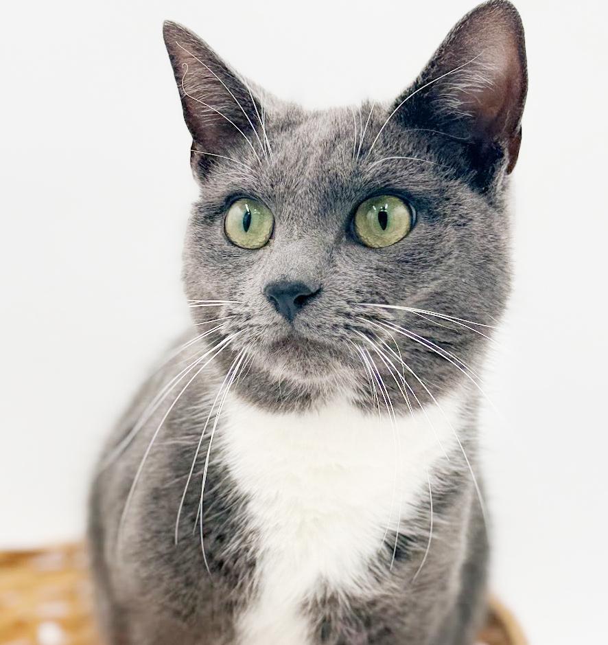 Ashe Our Love!  thumbnail 5