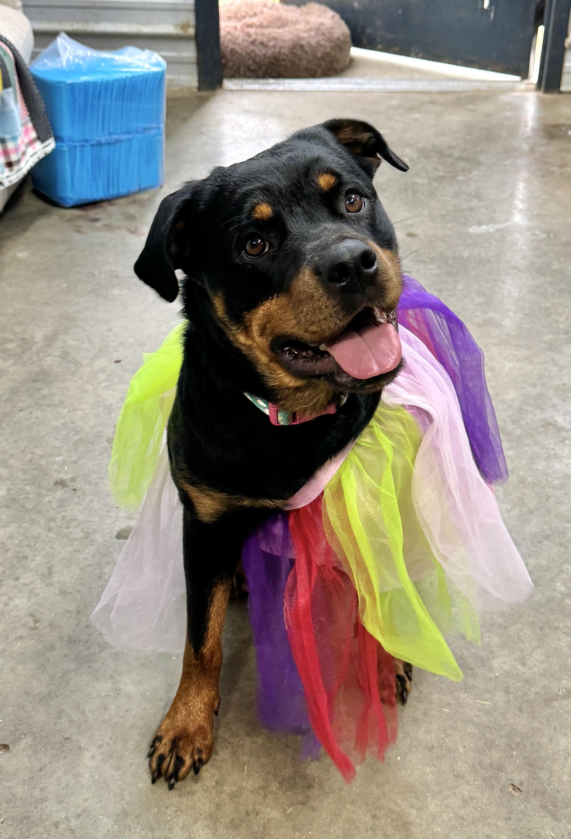 Zoey — thumbnail 2