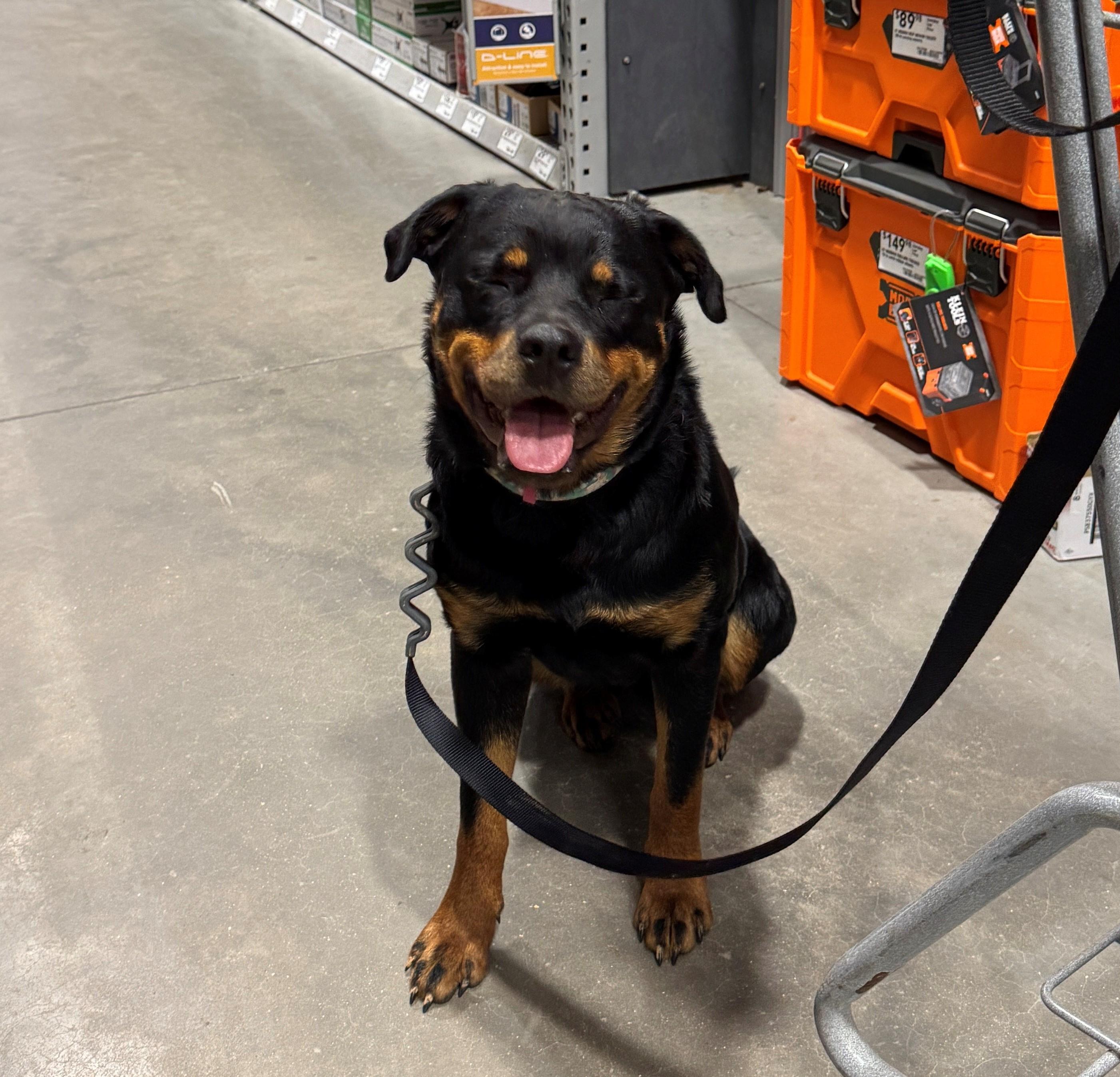 Zoey — thumbnail 3