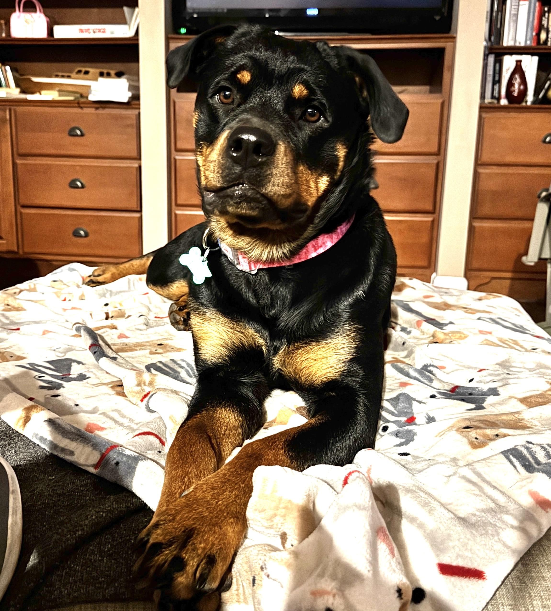 Zoey — thumbnail 4