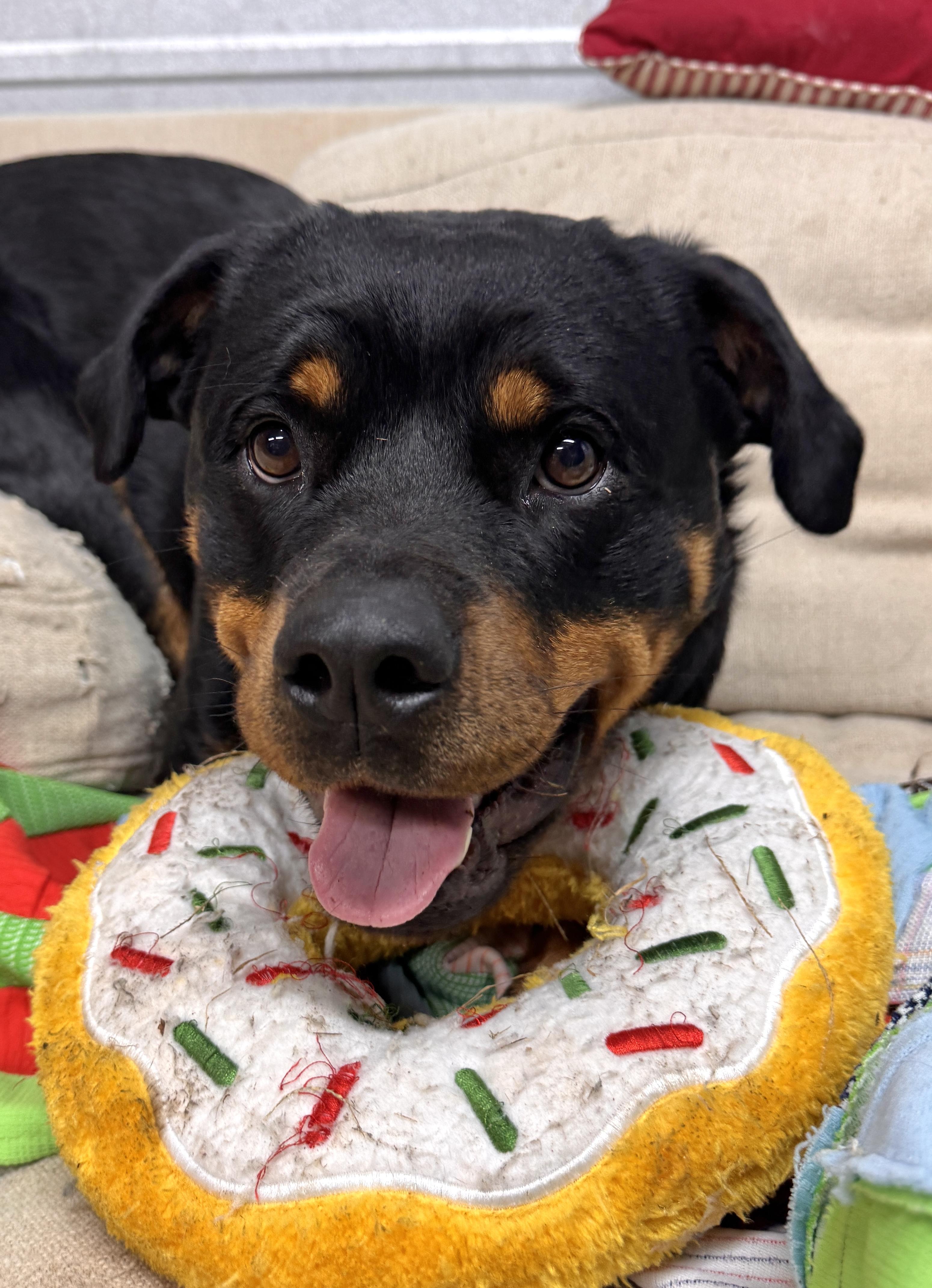 Zoey — thumbnail 5