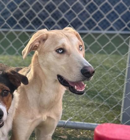 Barbie — thumbnail 2