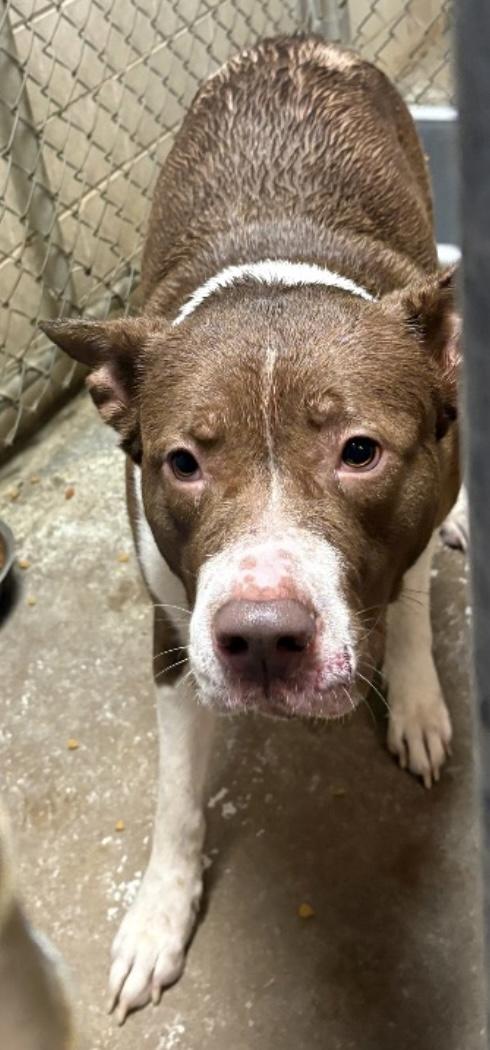 Frito Lay Hold thumbnail 2