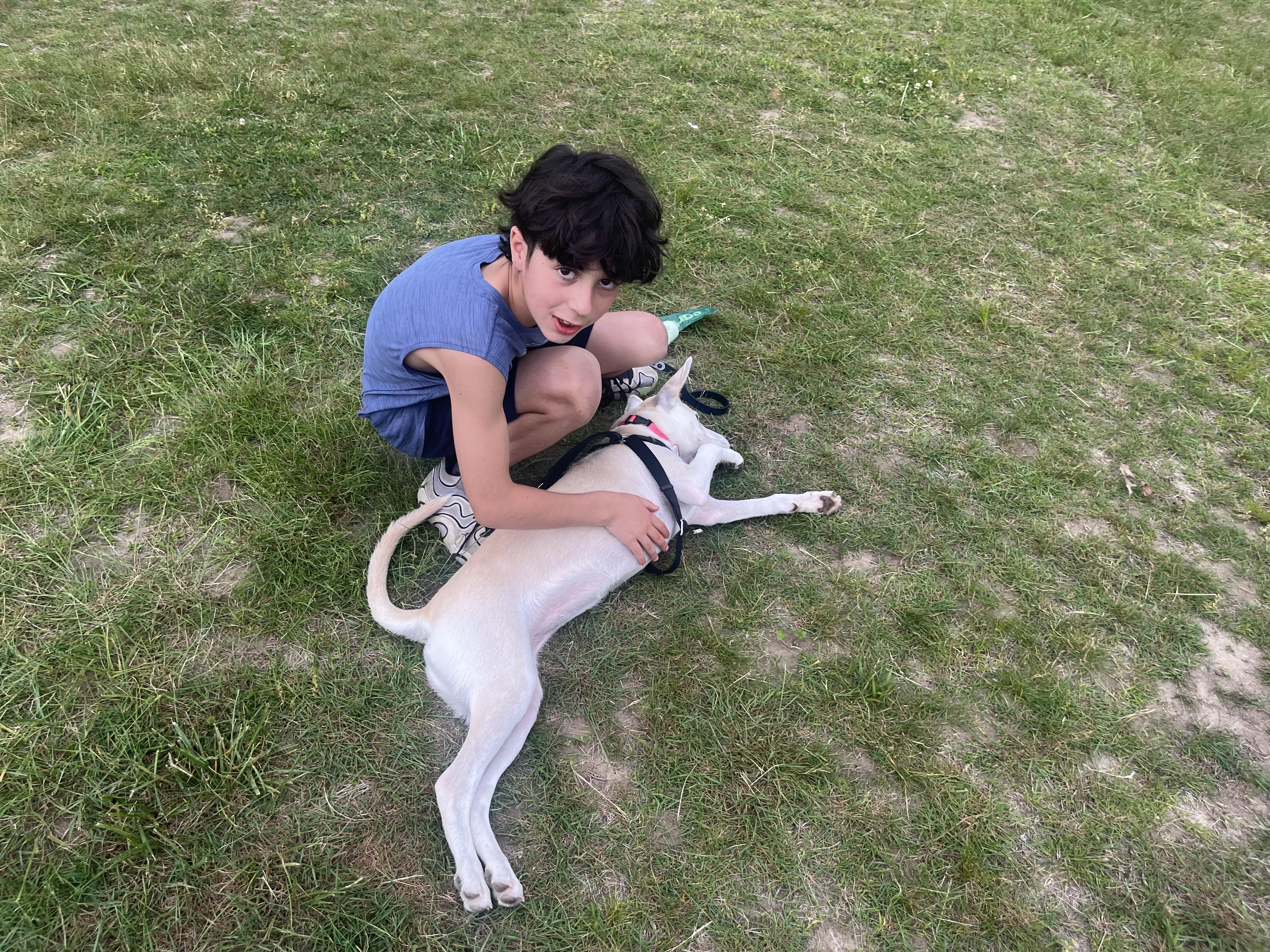 Enlarge Gracie - Adopted - Look at our other pups, a Adoptable mixed breed in Johnston , RI image 3/6
