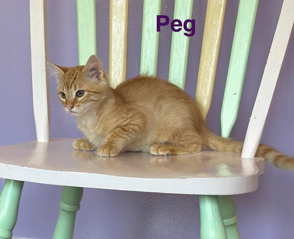 Peg