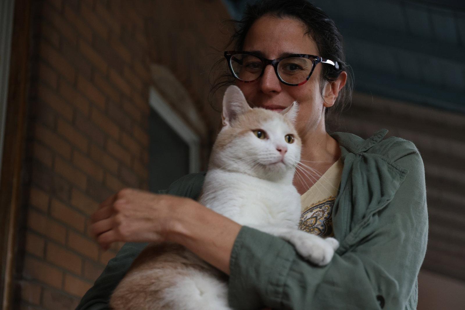 Enlarge Valentino* - The Blues Man, a Adoptable Domestic Short Hair in Trexlertown, PA image 3/3