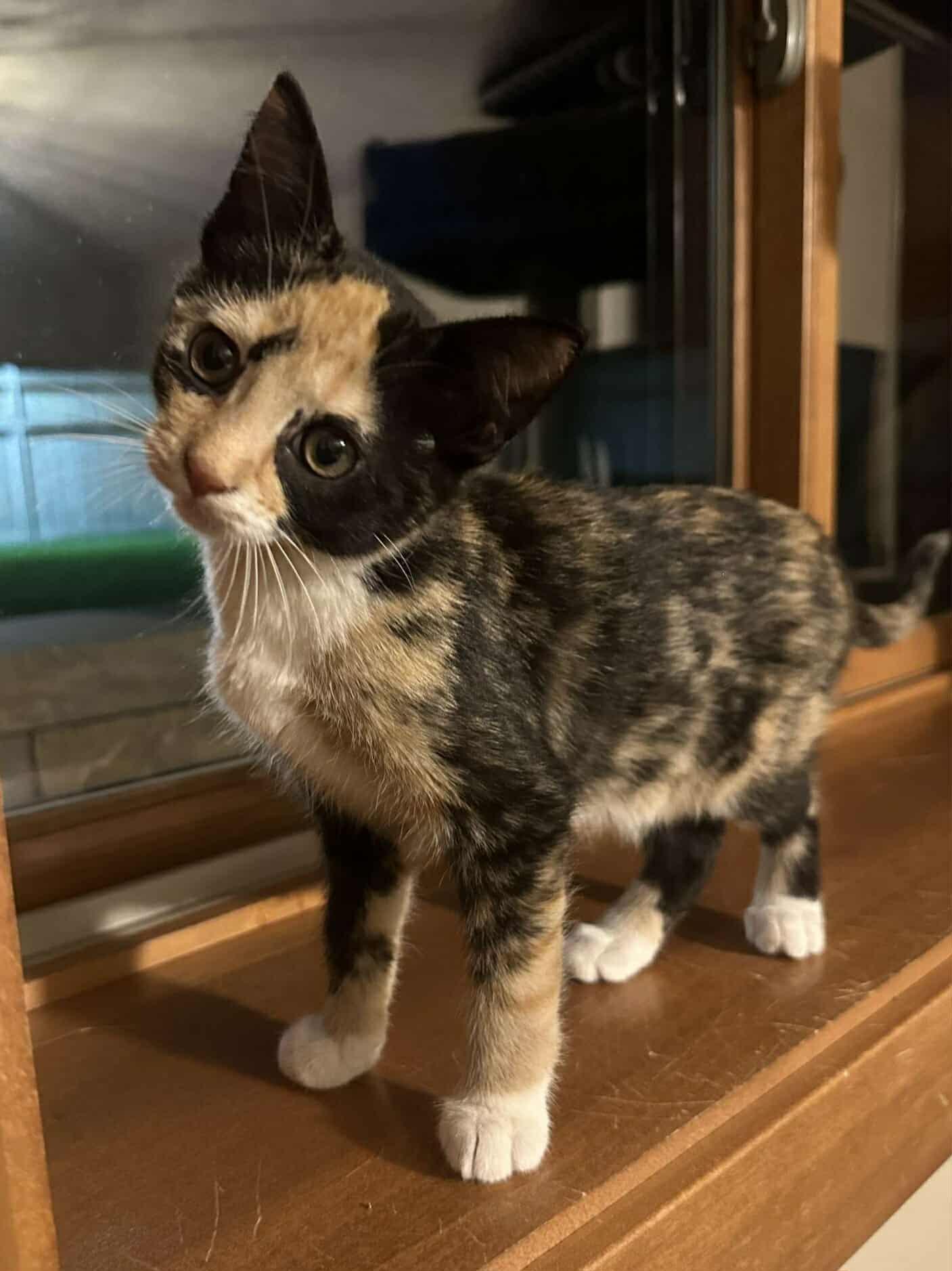 *Kiki photo 3