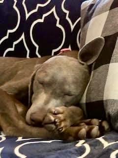 Kora ~courtesy post~