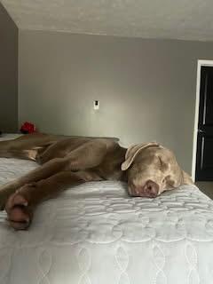 Kora ~courtesy post~