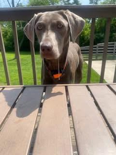 Kora ~courtesy post~