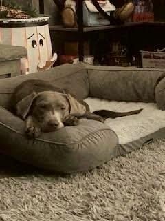 Kora ~courtesy post~