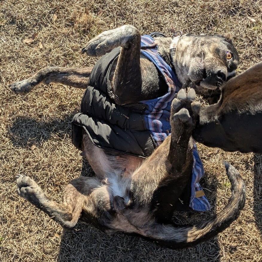 Jelly — thumbnail 3