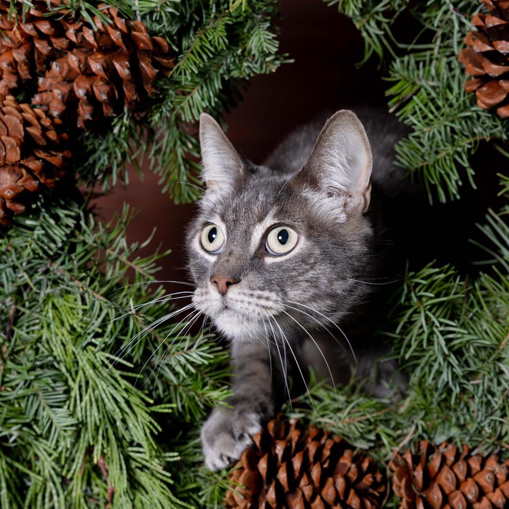 Eden — thumbnail 3