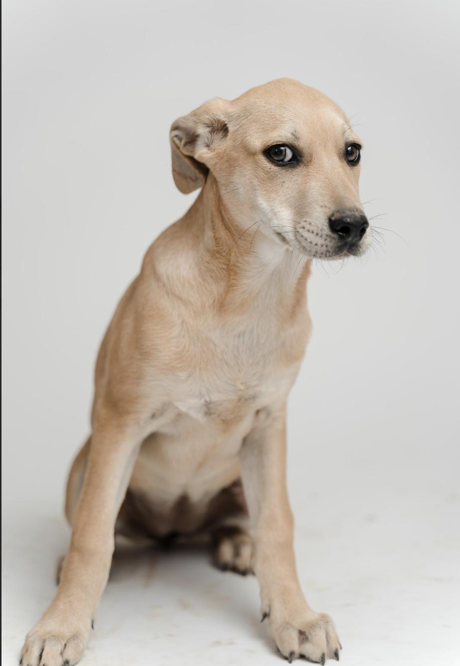 Nini — thumbnail 2