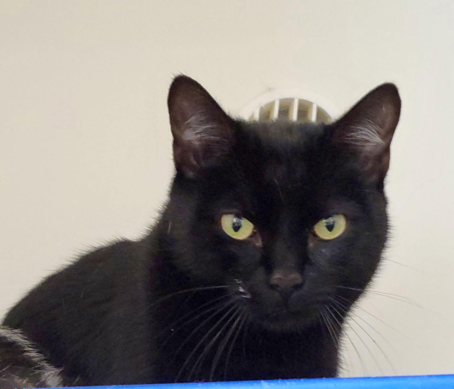 Linkin — thumbnail 2