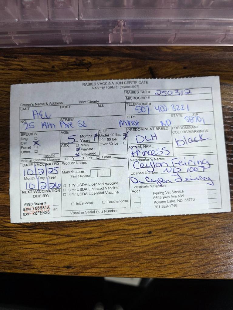 Enlarge Princess, a Adoptable mixed breed in Minot, ND image 2/4