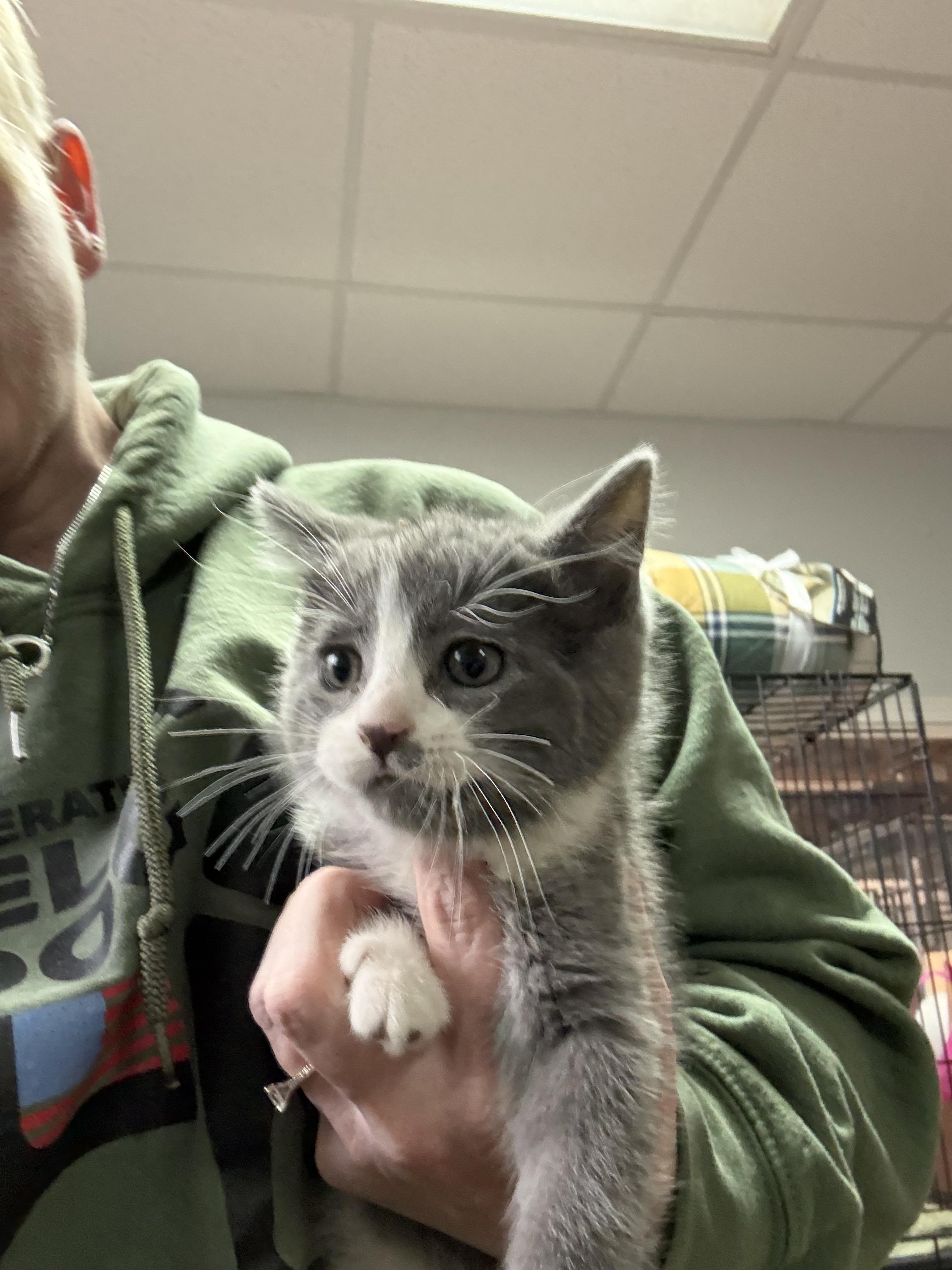 Turtle Tuck — thumbnail 2