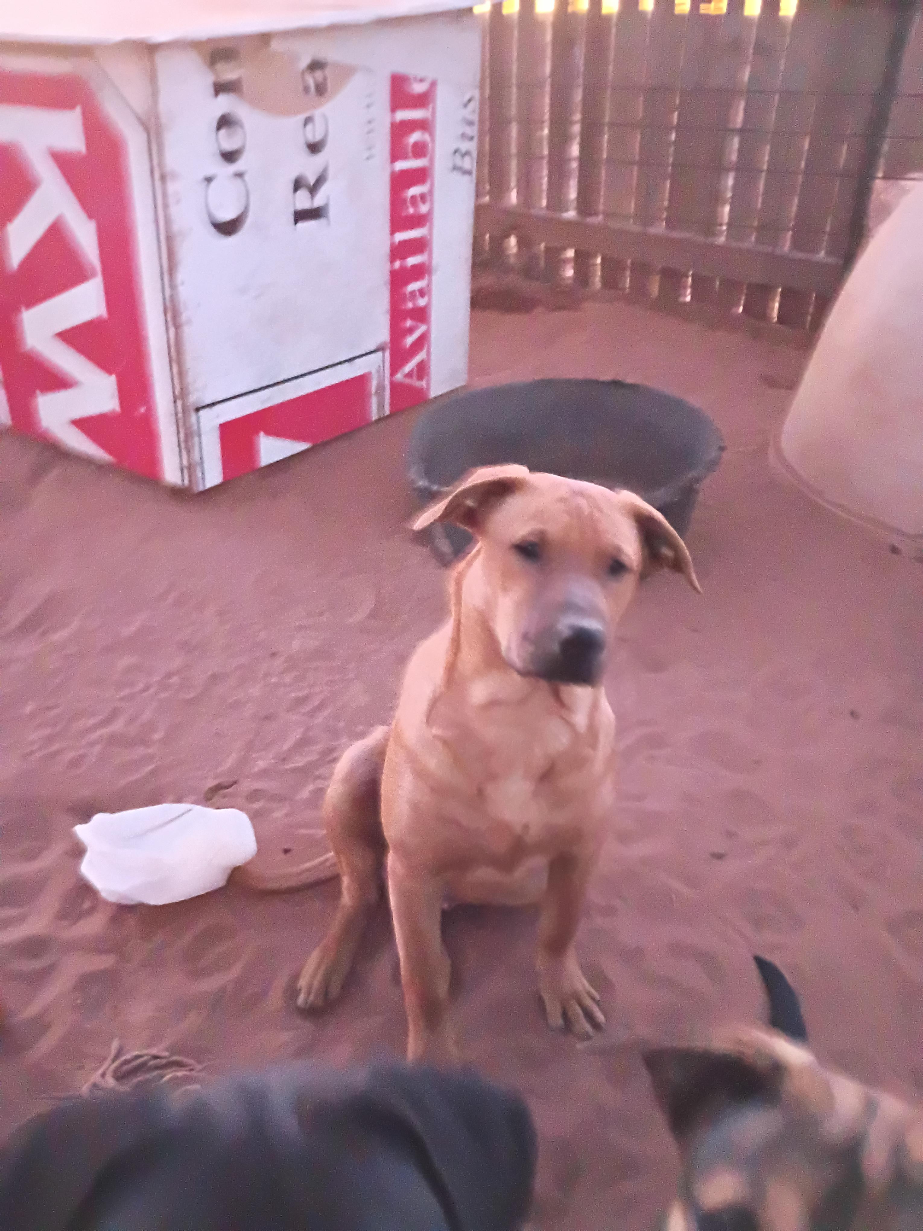 Boy 3/12 — thumbnail 2