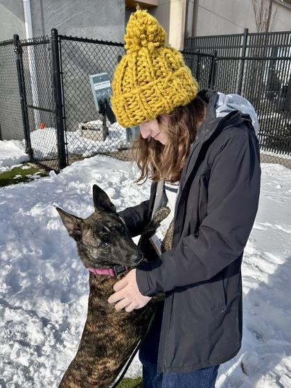 Enlarge Penelope, a Adoptable mixed breed in Wichita, KS image 3/3