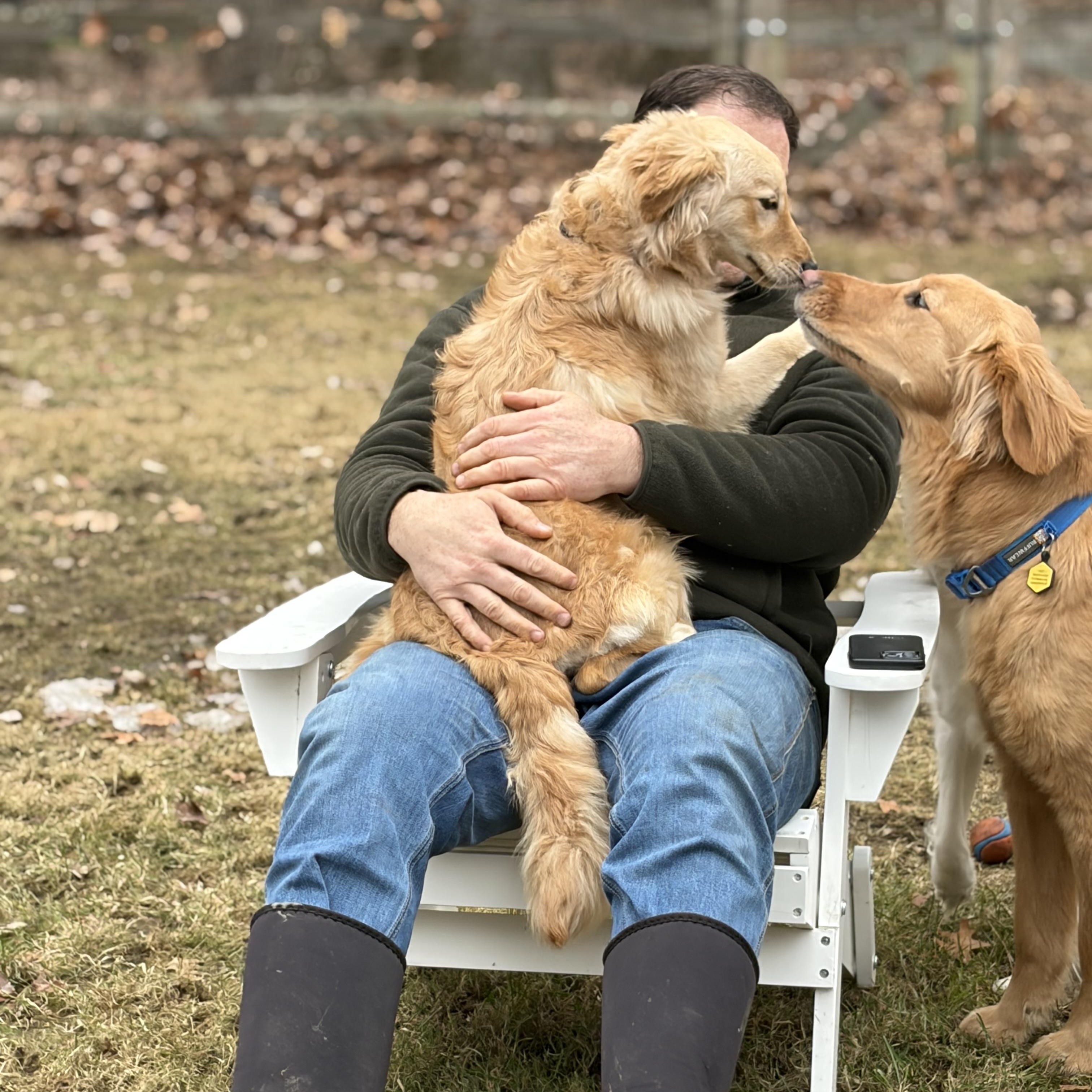 Timber - ADOPTION PENDING , an adopted mixed breed in Mashpee, MA image 5/5