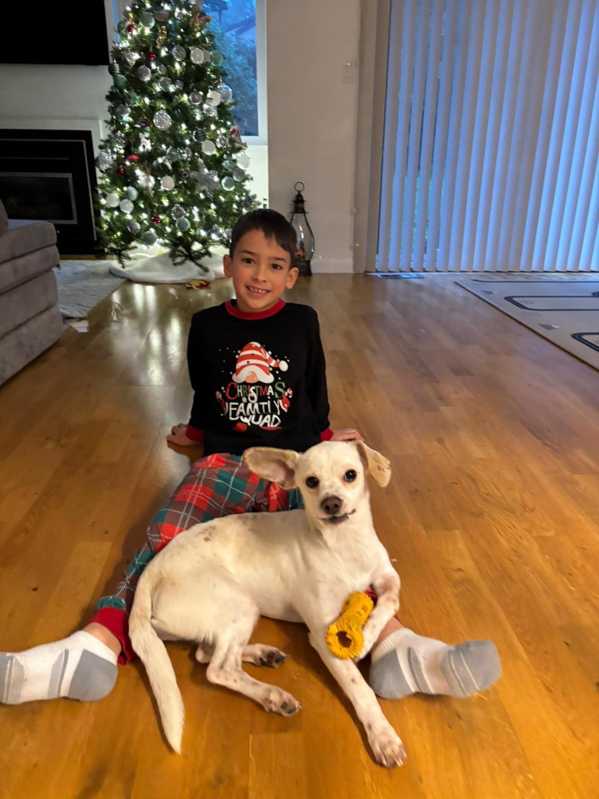 Enlarge SKIPPY, a ADOPTABLE mixed breed in Coquitlam, BC image 4/6