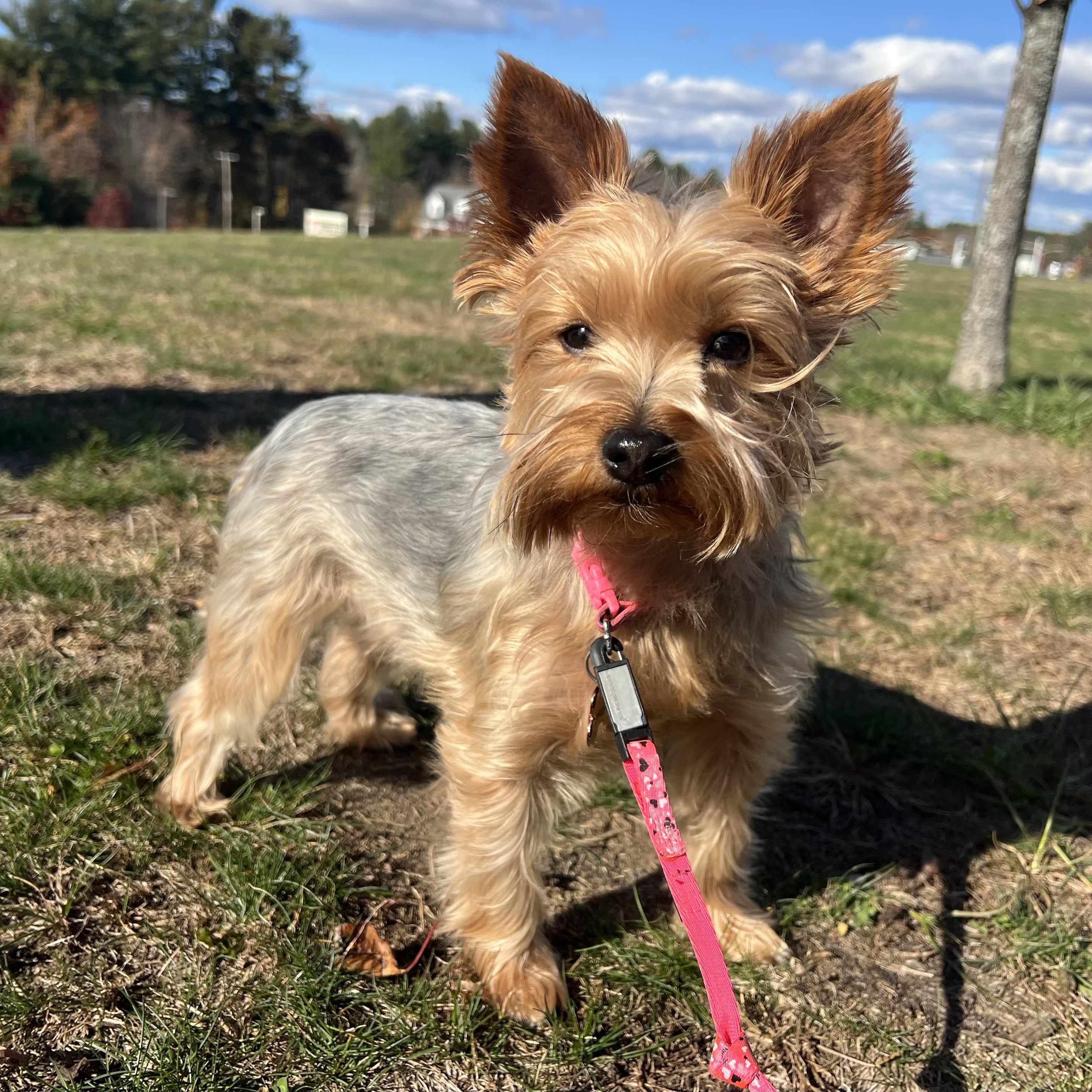 Maggie