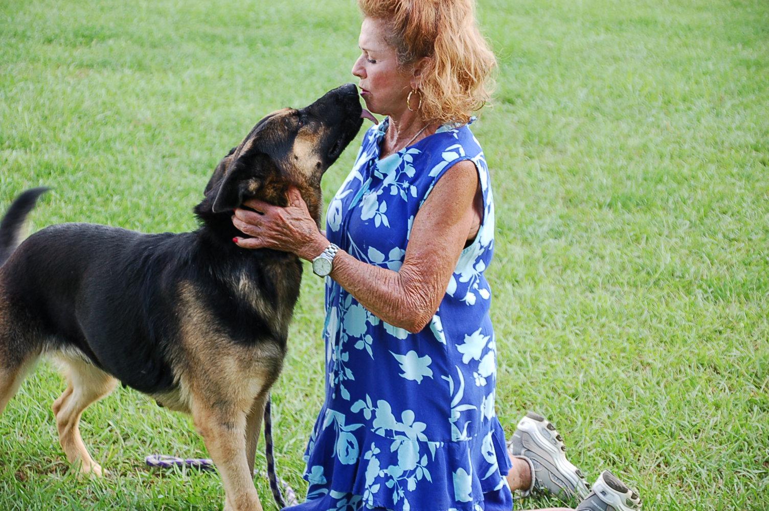 Enlarge JOY, a Adoptable German Shepherd Dog in Preston, CT image 6/6