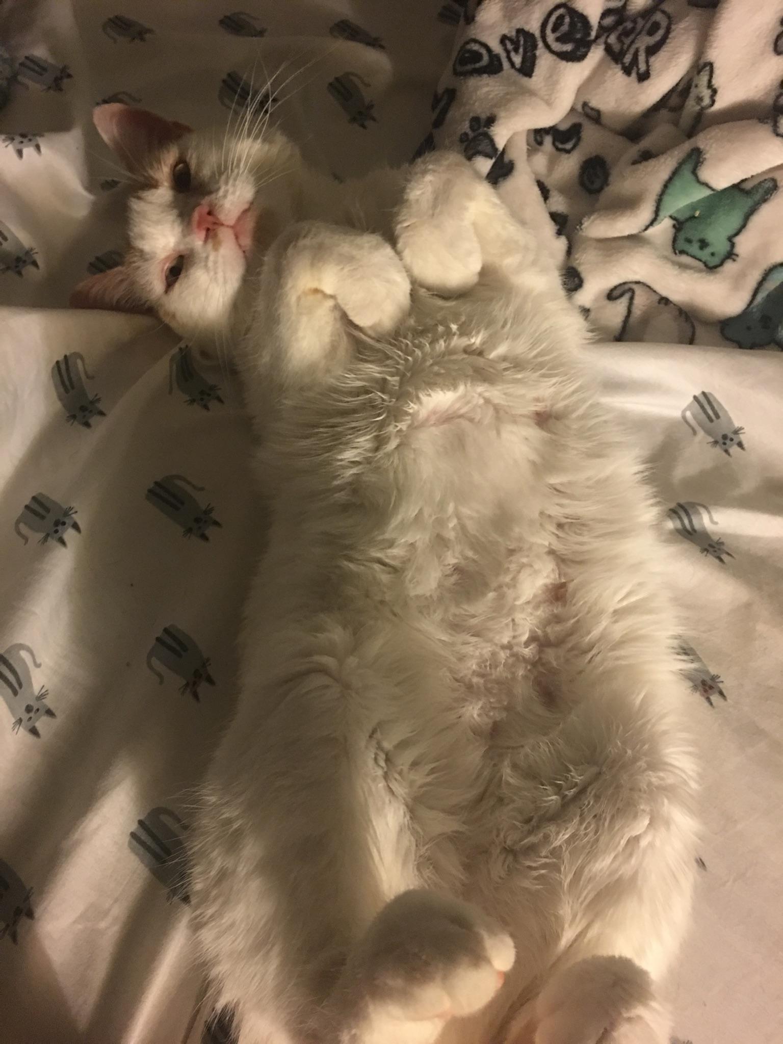 Luisa — thumbnail 4