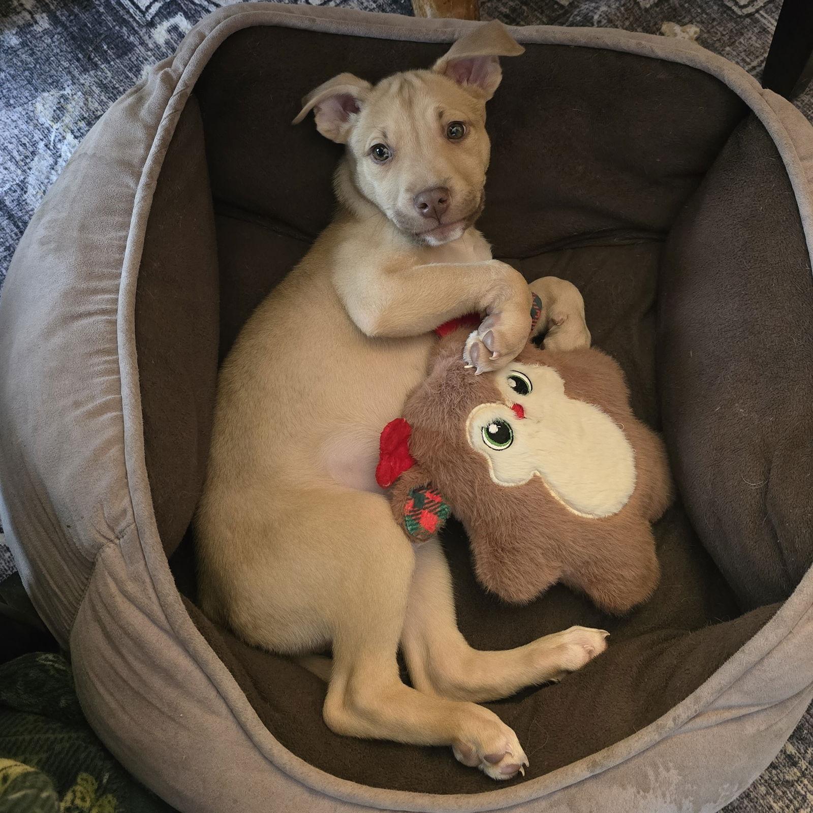 Rucker — thumbnail 2