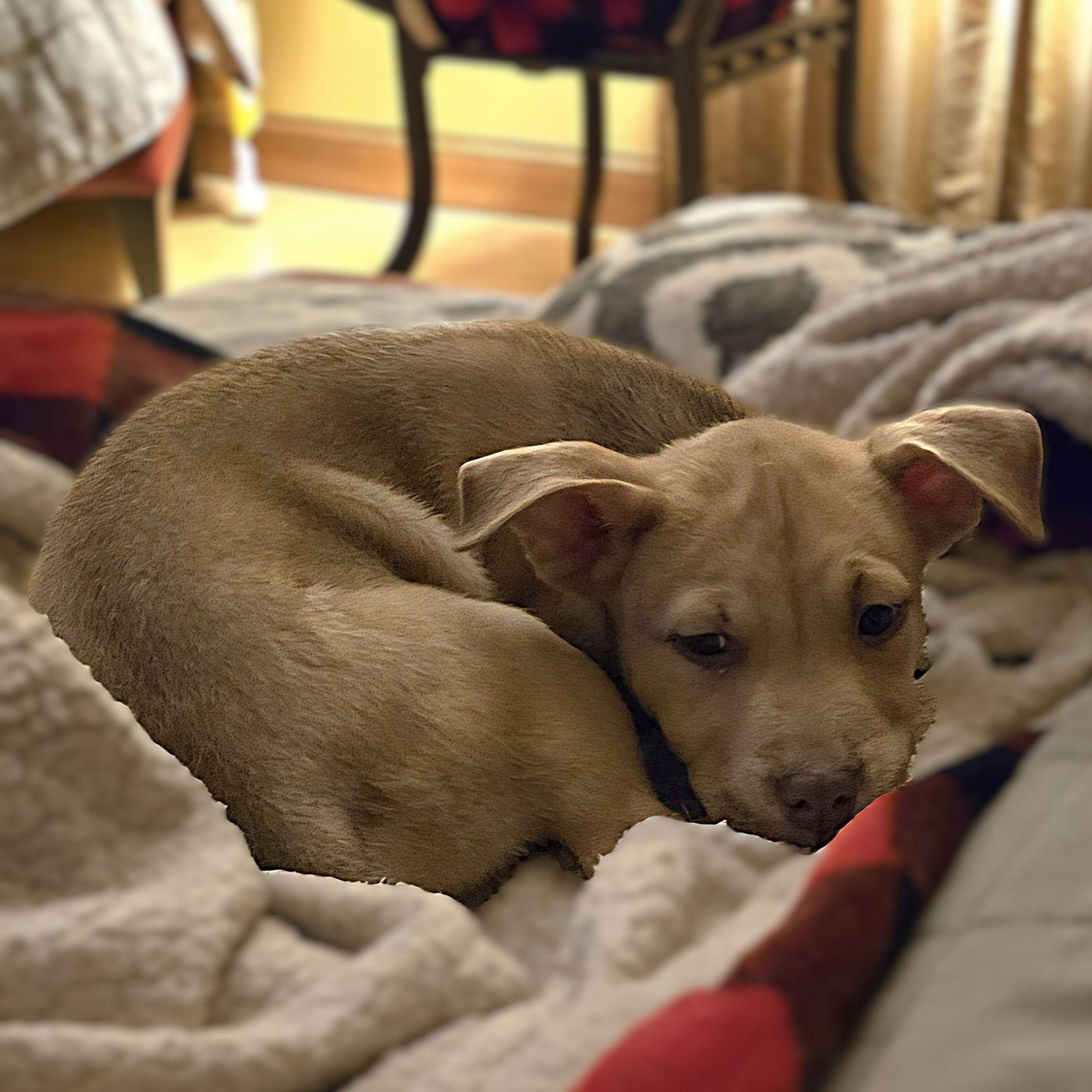 Rucker — thumbnail 3