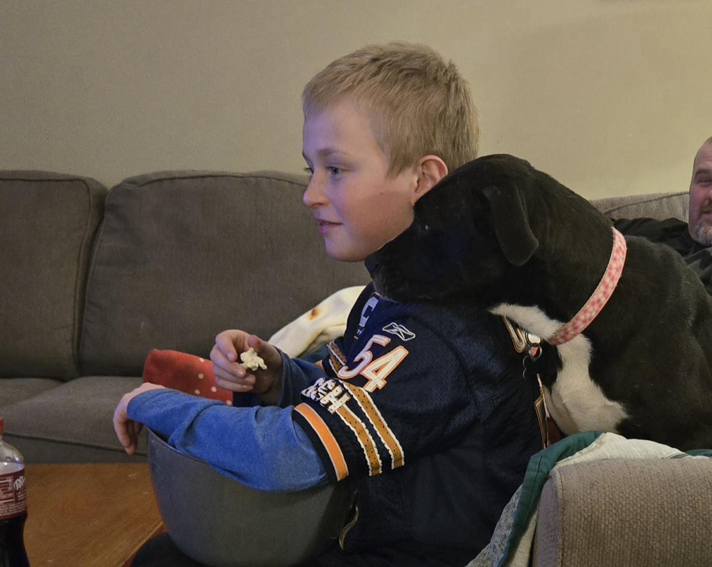 Enlarge Bonnie, an adopted mixed breed in Aurora, IL image 1/3